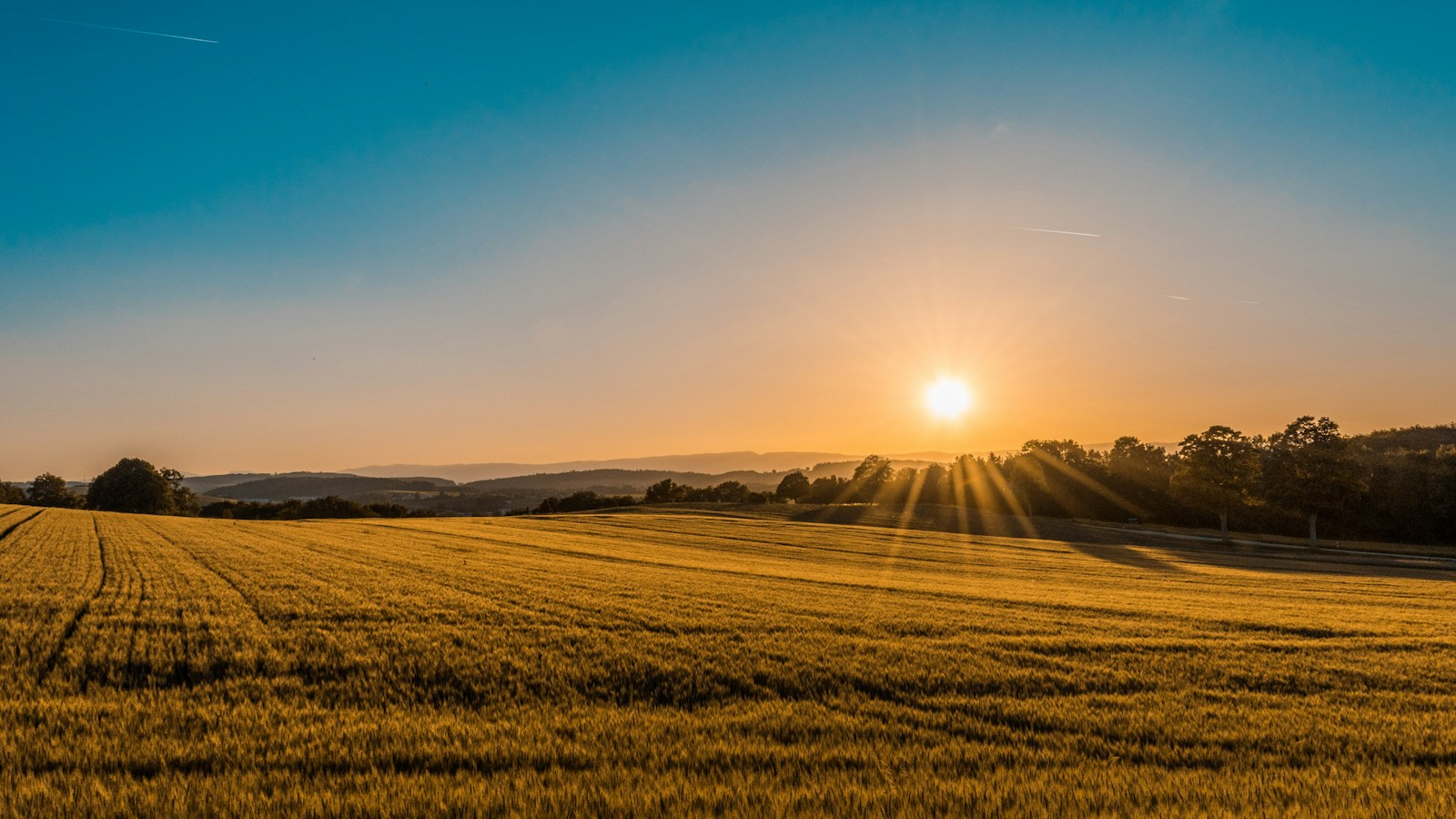 Land & Plots — illustrative photograph
